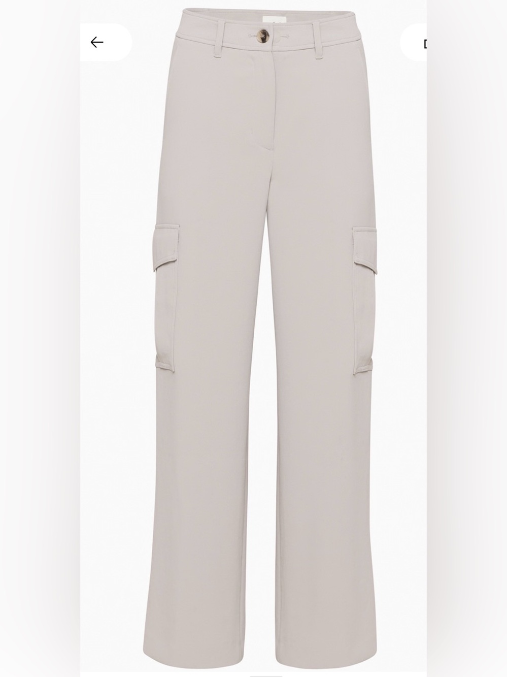 Aritzia Wilfred Bridger Cargo Pants in Ashen